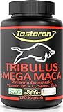 Tostoron TRIBULUS + MEGA MACA extra stark + hochdosiert + Pinienrinden Extrakt, Vitamin C + B5, Zink, Selen, 120 Kapseln, 1 Dose (1x100g) laborgeprüft, hol dir den TOSTORON HAMMER direkt nach Hause!
