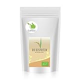 Goldener Zweig – Bio Reisprotein Pulver – 1kg - veganes Pflanzenprotein - gut für Low Carb, Atkins, Paleo, und Keto Ernährung