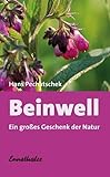 Beinwell: Ein großes Geschenk der Natur: Das große Geschenk der Natur. Eine hervorragende Heilpflanze
