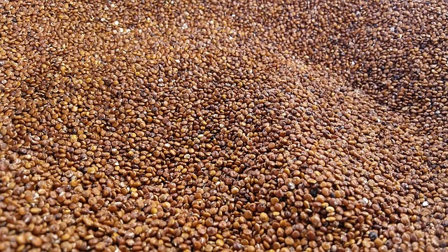 Quinoa Inkagold
